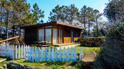 2 bedrooms, 3 beds