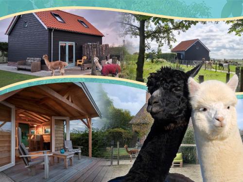  Aan de Waterspiegel, Ferienwohnung in Aagtekerke