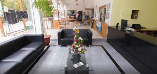 Aula, Oonas Dive Club in Sharm El Sheikh