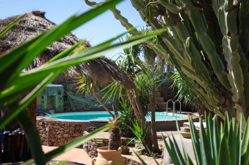 Cactus b&b Le casette di Marilena 3