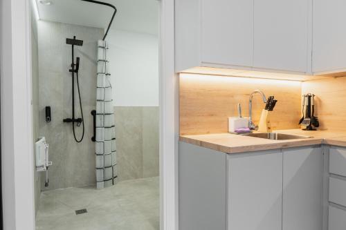 Loft Imperial in Aravaca