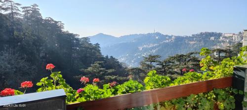 Surrounding environment, Hotel Marina Shimla in Shimla