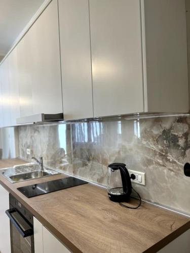 Florents 1-Bd Villa, free parking and garden, Tirana (photo 9)