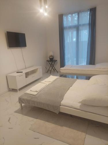 Apartamenty Nogalin