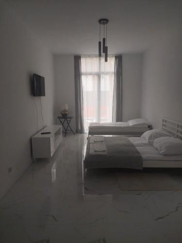Apartamenty Nogalin