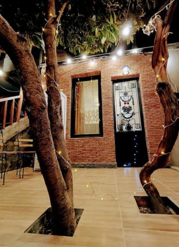 Teji's Apartment-Ninoshvili