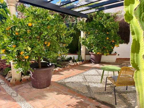 San Miguel B&B Granada, Granada (fotografie 7)