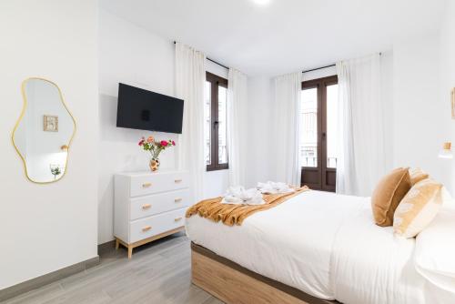 Villa Centro Granada, Granada (fotografie 5)