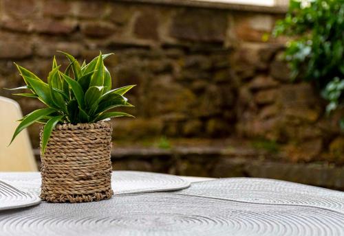 Casa Rural El Balcon de Tera in Almarza