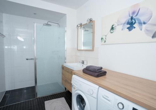 Charmant appartement avec terrasse dans villa, Strasbourg (photo 3)