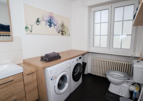 Charmant appartement avec terrasse dans villa, Strasbourg (photo 8)