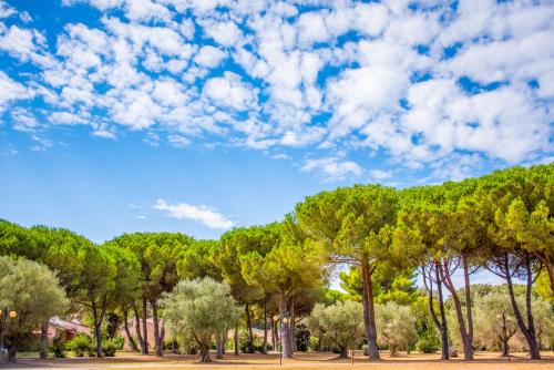 Hotel Riva degli Etruschi