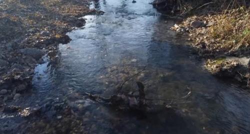 Tilava River Tilava River