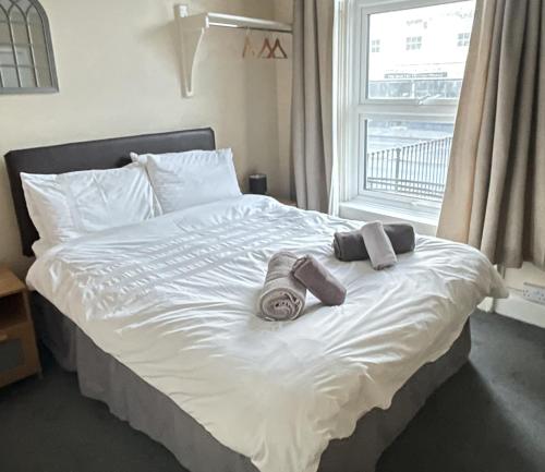 Admiral Blake Guesthouse - image 4