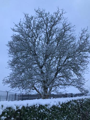 Durbuy House gîte verger