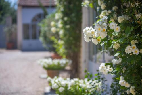 Domaine de Blanche Fleur