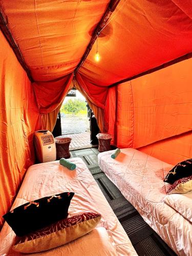 Kejora Homestay near UiTM Arau