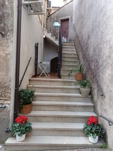 Alloggio turistico Patrizia in Sant' Oreste