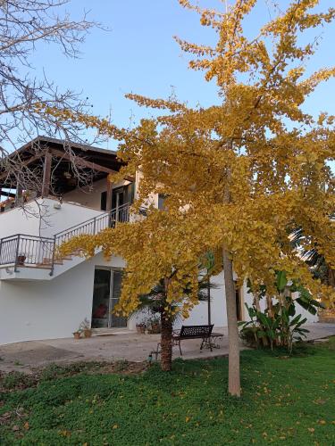 LA CASA DEL NOCE