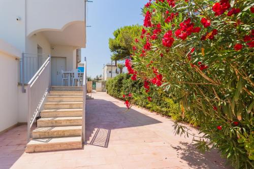 Garden, apuliablue1 in Fesca
