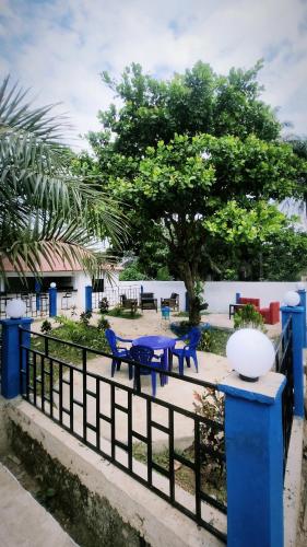 Dārzs, Chez BZ in Kindia