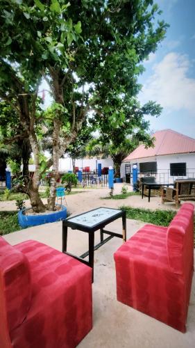 Dārzs, Chez BZ in Kindia