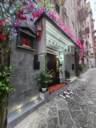 B&B Gma suite, Naples