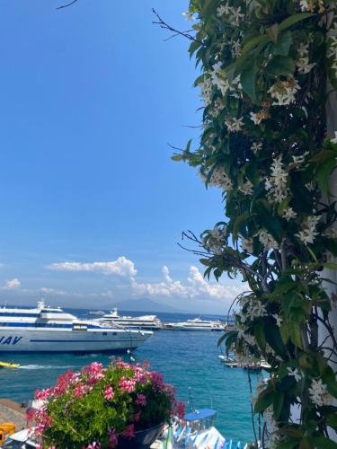 La Baia di Napoli 2