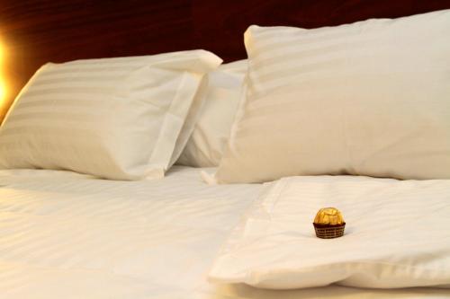 Photo - Hotel Gran Odara