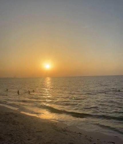 Amazing Cozy Room Sea View - ROOM INSIDE APARTMENT Amazing Cozy Room Sea View - ROOM INSIDE APARTMENT