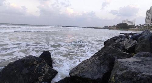 Amazing Cozy Room Sea View - ROOM INSIDE APARTMENT Amazing Cozy Room Sea View - ROOM INSIDE APARTMENT