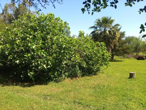 Paraje del molino Loft in San José (Entre Rios)