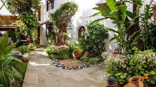Casa los Cantaros Hotel Boutique - Oaxaca