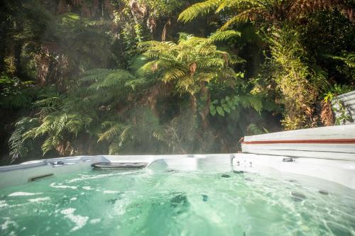 Gyógyfürdő, Ivory Towers Backpackers Lodge in Fox Glacier