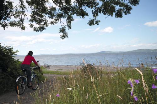 Thon Hotel Horten - image 13
