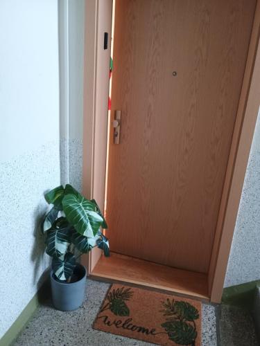 Ferien Appartement Coswig in Coswig