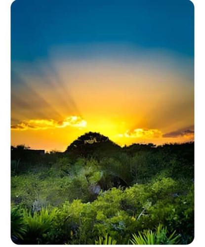24,7 access to amazing cenote PoolKing size beds in Akumal, Mexico