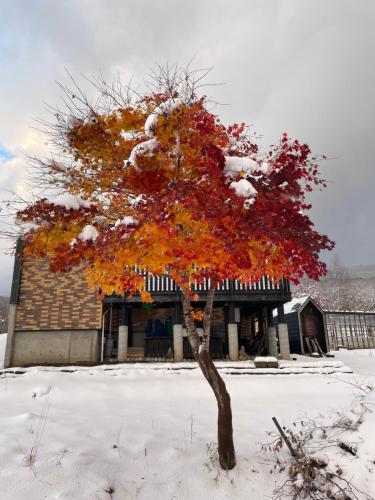 Niseko White Villas I in Kogane Hills