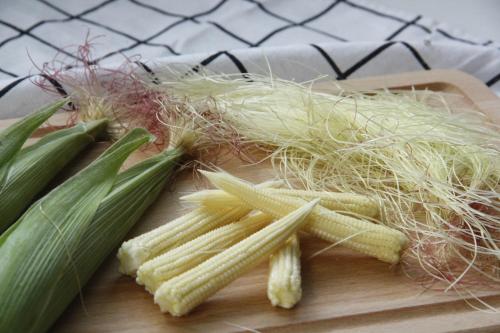 Hakka Eco-farm 雅歌園民宿食農教育有機農場