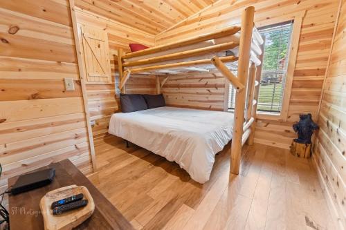 Fox's Den cabin - image 11