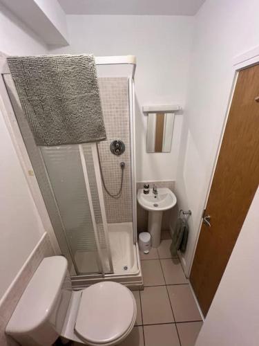 Wonderful D3 Townhouse, Dublín (foto 8)