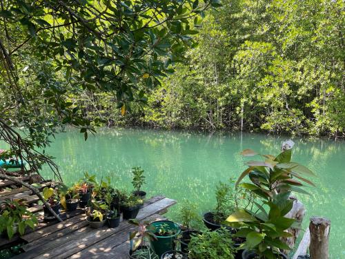 Gumm Lonely Club in Ao Phrao