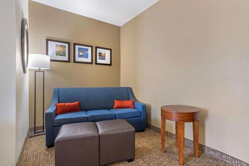 Comfort Suites Old Town Spring - image 10