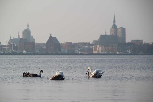 周邊環境, Ferienhaus Poseidon in 阿蒂法爾