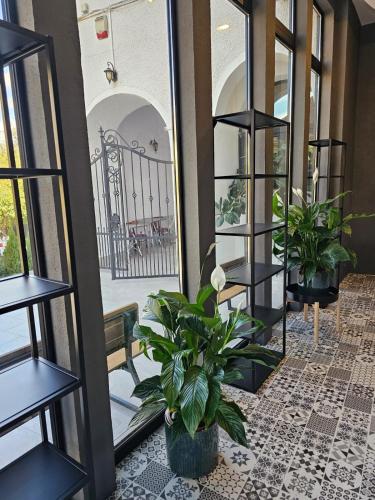 Hotel Apollonia - image 12