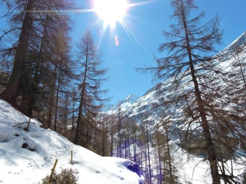 Omgeving, Anniviers : studio avec mezzanine in Les Diablerets