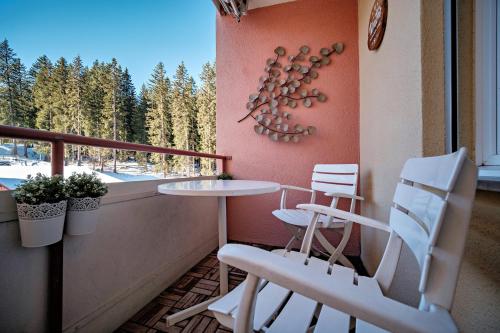 Paradies 301, Arosa (Foto 6)