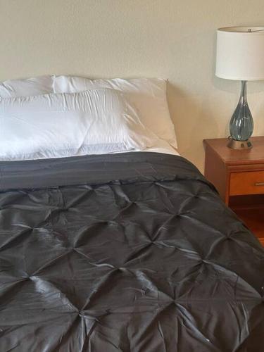 Comfortable Studio in Houston in Houston, USA