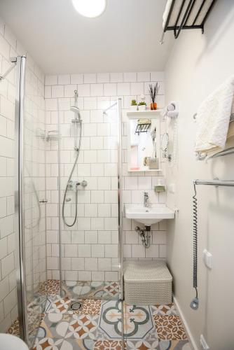 One-Bedroom Apartment image 10