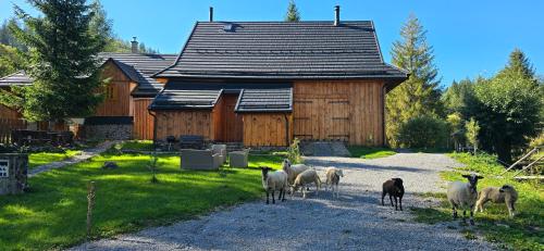 Palčovka Huty - apartmán U Ondry a U Andělky (Palcovka Huty - apartman U Ondry a U Andelky) in Huti